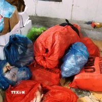 Số thực phẩm đông lạnh không có hóa đơn, chứng từ chứng minh nguồn gốc, xuất xứ. (Ảnh: Hải Yến/TTXVN)