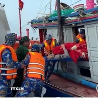 Cán bộ Hải đội Biên phòng 2, Ban Chỉ huy BĐBP tỉnh Ninh Bình cứu nạn và đưa nạn nhân vào bờ. (Ảnh: TTXVN phát)