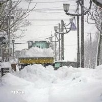 Tuyết rơi dày đặc tại Hokkaido, Nhật Bản. (Ảnh: Kyodo/TTXVN)