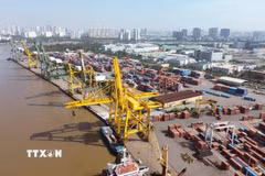 Hoạt động bốc xếp container tại Cảng Tân Thuận-Công ty Cổ phần Cảng Sài Gòn. (Ảnh: Quốc Khánh/TTXVN)