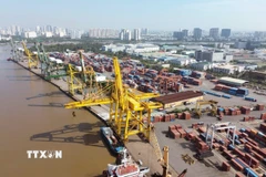 Hoạt động bốc xếp container tại Cảng Tân Thuận-Công ty Cổ phần Cảng Sài Gòn. (Ảnh: Quốc Khánh/TTXVN)