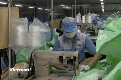 Sản xuất bao bì tại Công ty TNHH KMV Việt Nam, Khu Công nghiệp Bình Xuyên, Xã Bình Nguyên, tỉnh Phú Thọ. (Ảnh: Nguyễn Thảo/Vietnam+)