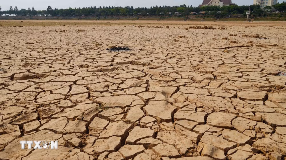 Ứng phó đa rủi ro khi hiện tượng thời tiết El Nino quay trở lại ttxvn-thieu-nuoc-0106.jpg