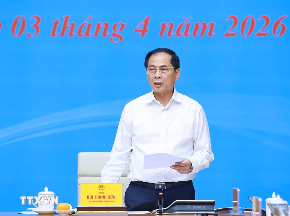 ttxvn-thu-tuong-chu-tri-hop-ban-chi-dao-quoc-gia-ve-hoi-nhap-quoc-te-0304-4.jpg