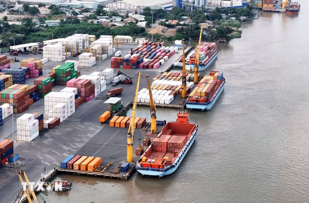 ttxvn-tp-ho-chi-minh-bien-lon-0205-2.jpg