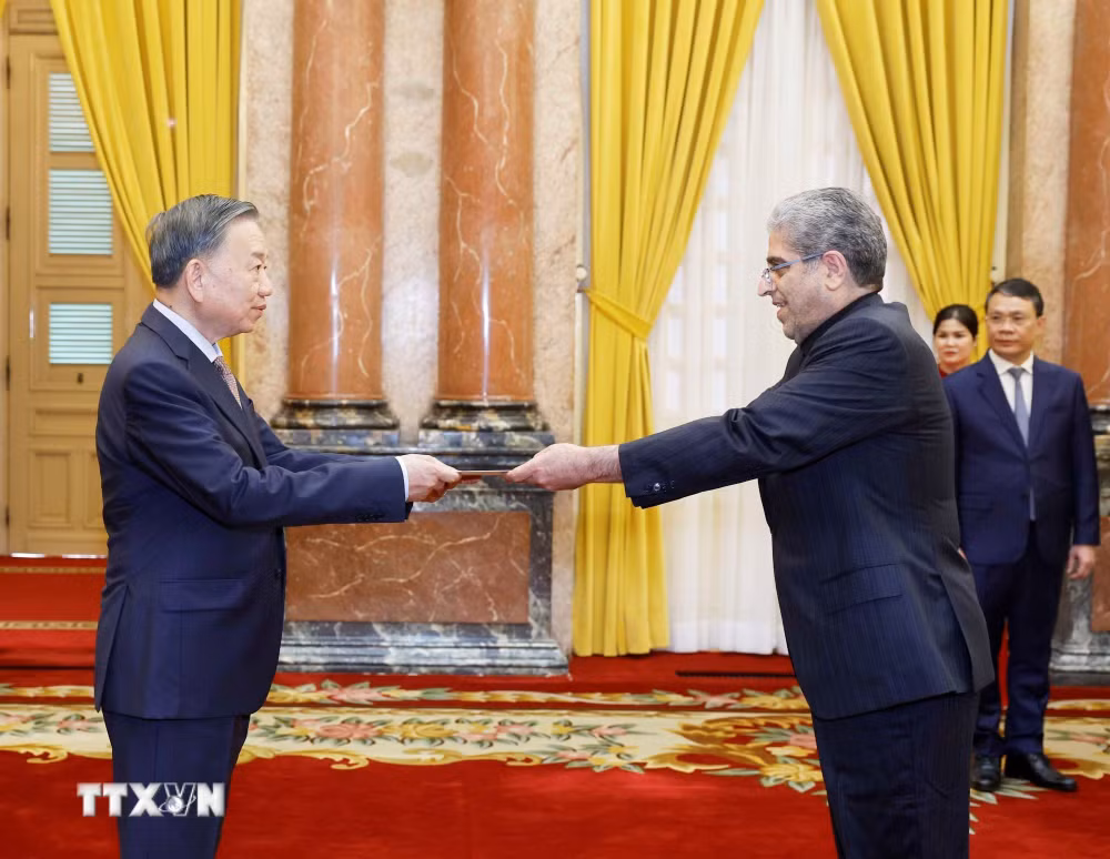 ttxvn-tong-bi-thu-chu-tich-nuoc-to-lam-tiep-dai-su-cac-nuoc-trinh-quoc-thu-0607-3.jpg