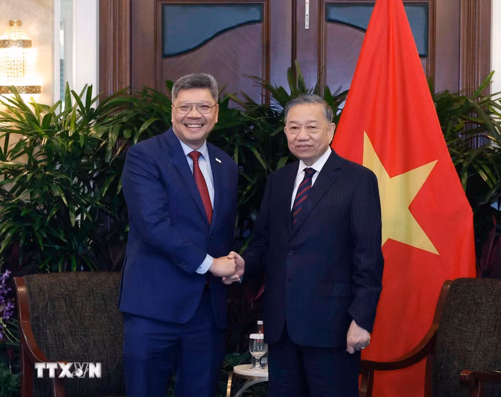 ttxvn-tong-bi-thu-chu-tich-nuoc-tiep-lanh-dao-mot-so-doanh-nghiep-lon-cua-singapore-3005-4.jpg.avif