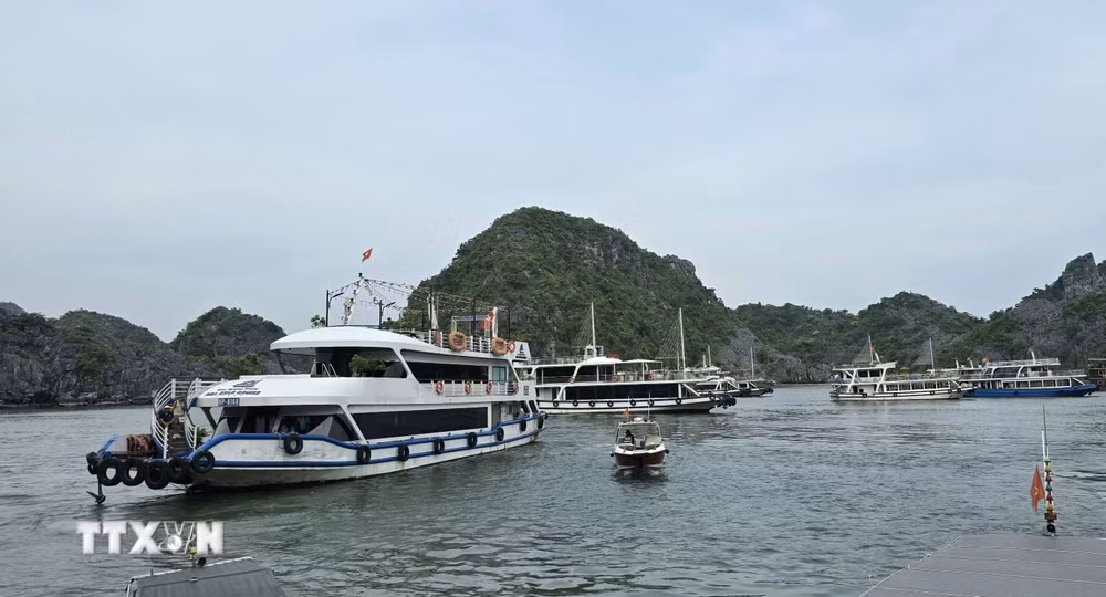 ttxvn-vinh-lan-ha-0304.jpg