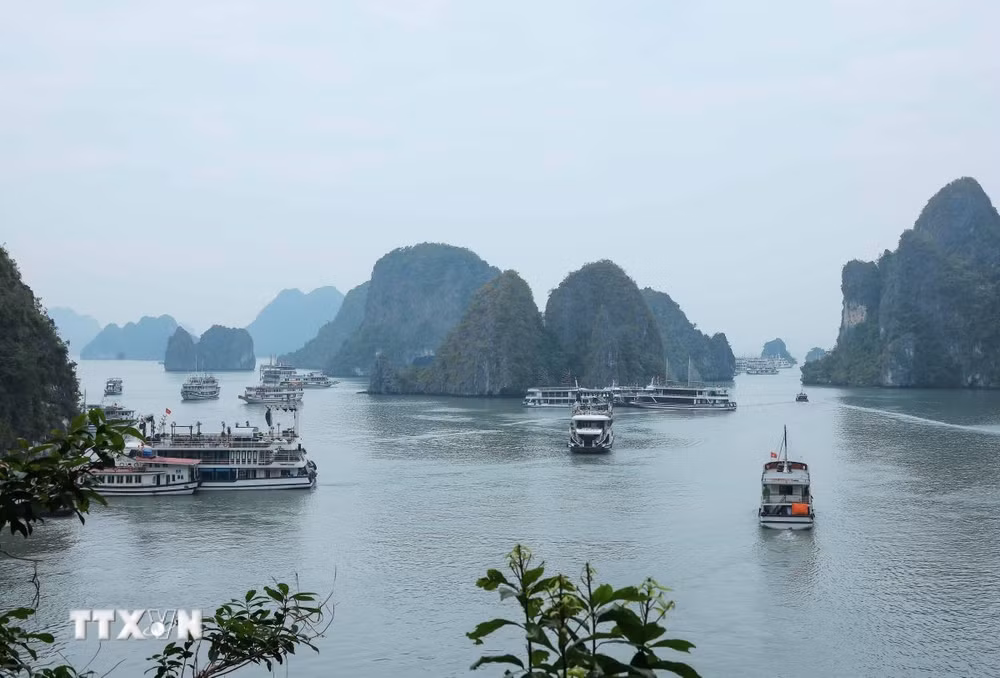 ttxvn-vinh-ha-long-7724902.jpg