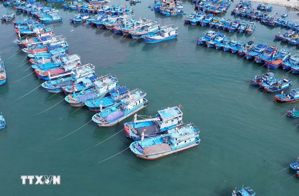ttxvn-iuu-0504.jpg