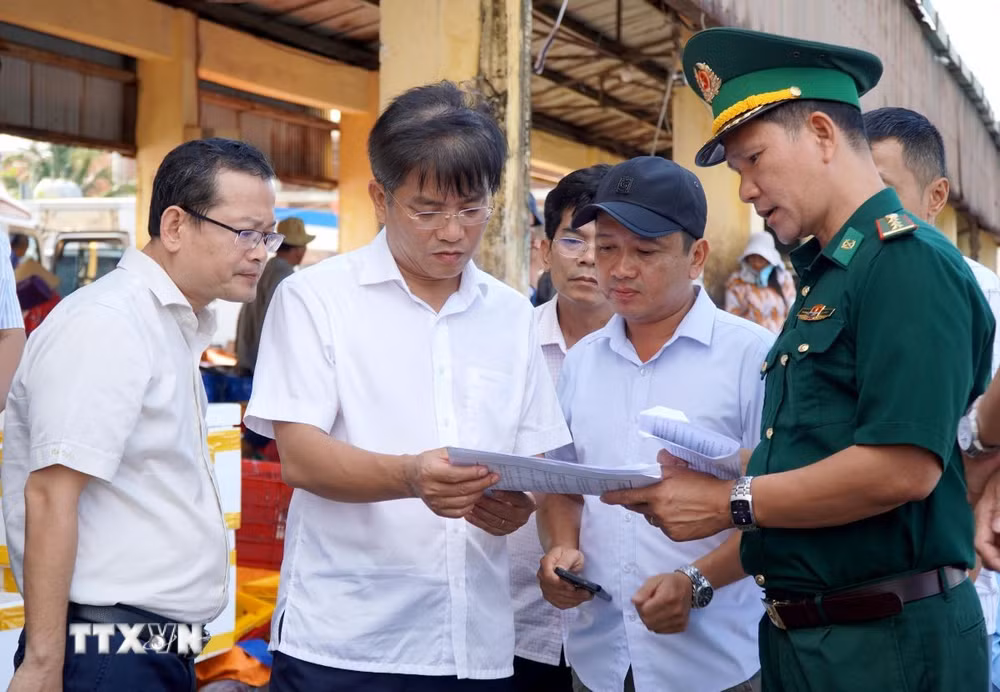 ttxvn-chong-khai-thac-iuu-quang-ngai-quan-ly-chat-tau-ca-nguy-co-cao-2505-3.jpg