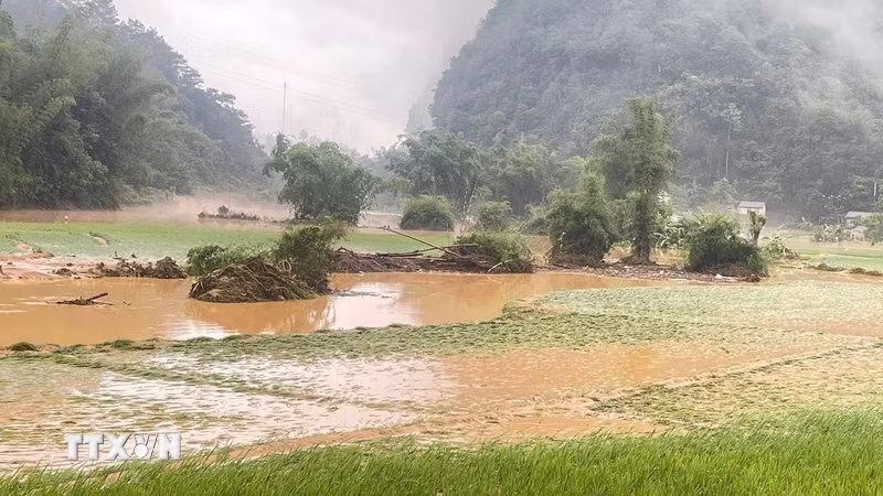 Thời tiết ngày 29/7: Mưa dông diện rộng, nhiều nơi mưa to đến rất to
