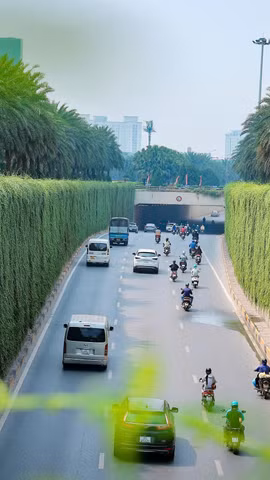 Quản trị môi trường theo hướng hiện đại. (Ảnh: Hoài Nam/Vietnam+)