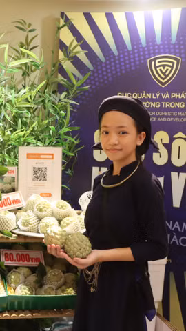 Lạng Sơn đã mạnh dạn đưa quả na lên các sàn thương mại điện tử để quảng bá (Ảnh: CTV/Vietnam+)