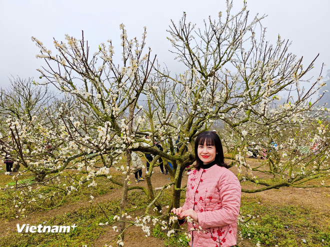 vnp-hien.jpg