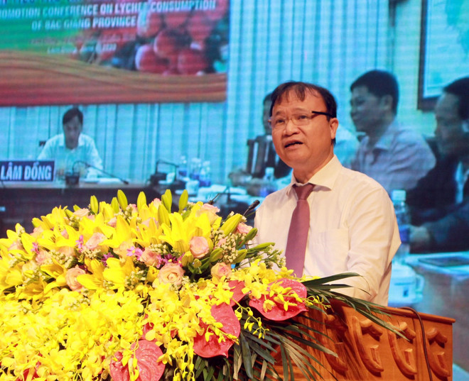 Bộ Công Thương hỗ trợ quảng bá, kết nối giao dịch xuất khẩu vải thiều ảnh 1