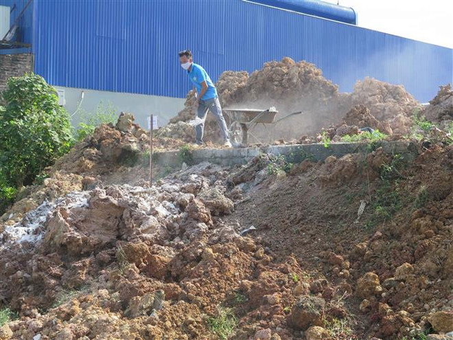 Tiêu hủy gần 1.000 con lợn từ Thái Lan với tổng giá trị 6,2 tỷ đồng ảnh 1