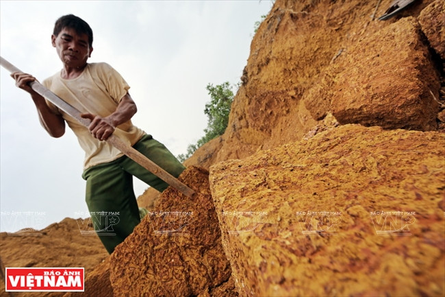 Chiêm ngưỡng những tuyệt tác nghệ thuật bằng đá ong xứ Đoài ảnh 4