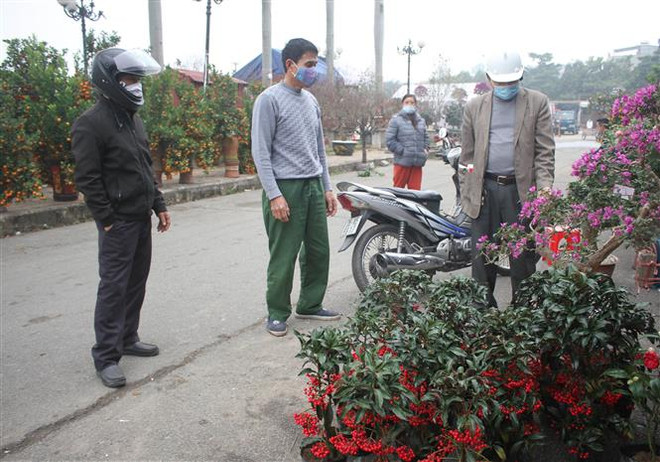 Ninh Bình, Thái Bình dừng pháo hoa, Hải Dương kiểm soát nơi đông người ảnh 1