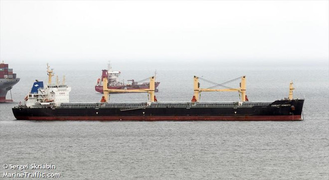 Điều tra vụ tàu Hong Kong đâm vào cầu cảng, va chạm với sà lan ảnh 1