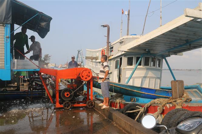 Tàu đánh bắt tại cảng cá Tân Phước, xã Phước Tỉnh, huyện Long Điền, Bà Rịa-Vũng Tàu chuẩn bị cho đánh bắt xa bờ. (Ảnh: Hoàng Nhị/TTXVN) Ngư dân Bà Rịa-Vũng Tàu đồng loạt ra khơi trở lại khi giá dầu giảm ảnh 1