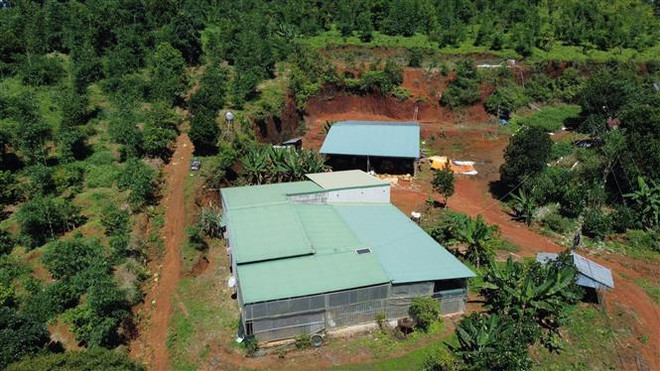 Vụ cấp 65 sổ đỏ trái quy định tại Đắk Nông: Thêm hai bị can ảnh 1