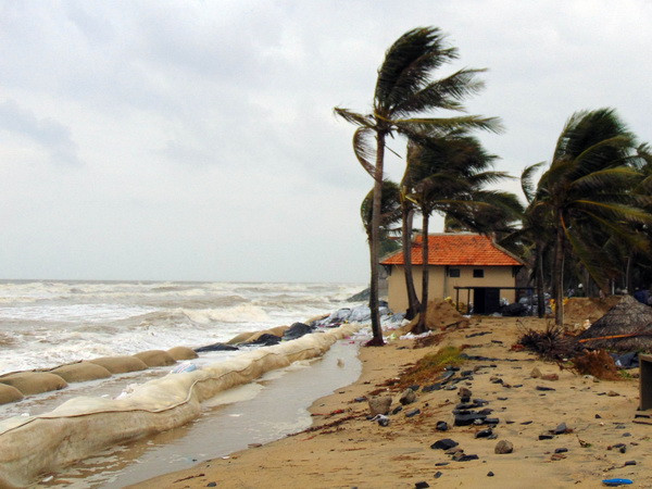 Làm rõ hợp đồng "khủng" hút triệu m3 cát tại biển Cửa Đại ảnh 1