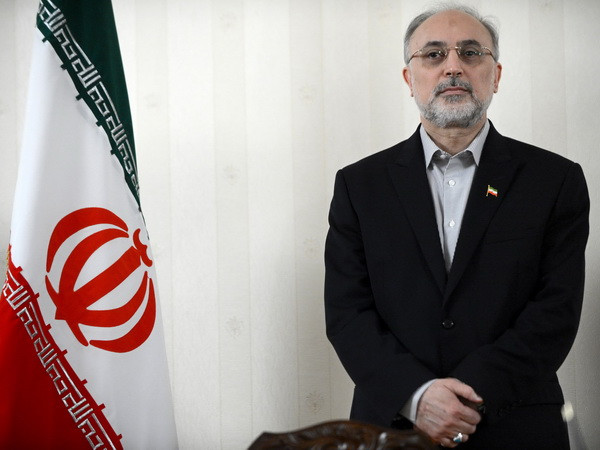 Ông Ali-Akbar Salehi. (Nguồn: AFP/TTXVN) Iran đề xuất hợp tác hạt nhân với các nước vùng Vịnh ảnh 1