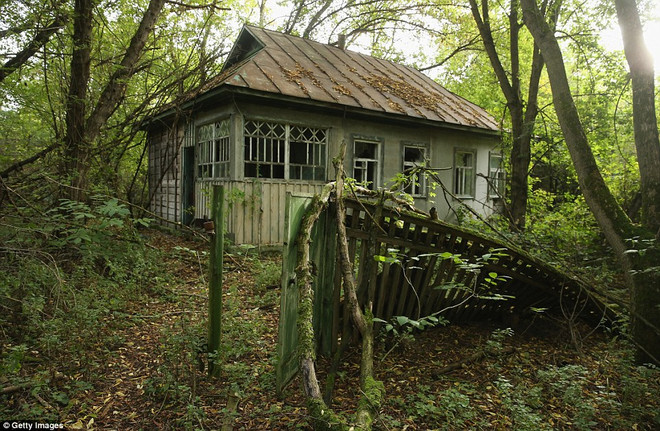 Thành phố trở thành phế tích 30 năm sau thảm họa Chernobyl ảnh 7