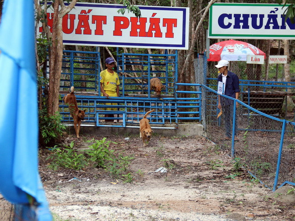 Quy định về mức đặt cược dành cho đua ngựa, bóng đá quốc tế ảnh 1