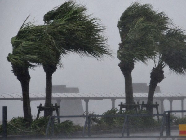 Nhật Bản: Giao thông gián đoạn nhiều nơi do bão và gió lớn ảnh 1