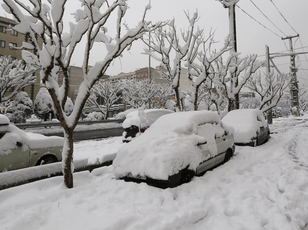 Bão tuyết tồi tệ nhất xảy ra tại Ireland trong gần 4 thập kỷ ảnh 1