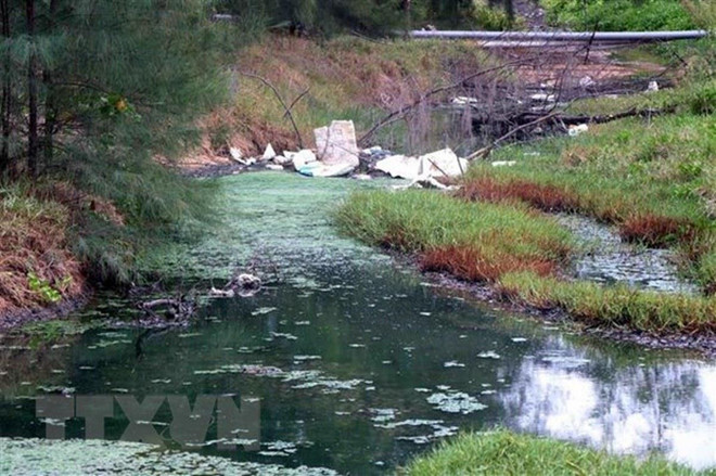 Quản lý yếu kém, một số loại tài nguyên bị khai thác đến mức cạn kiệt ảnh 2