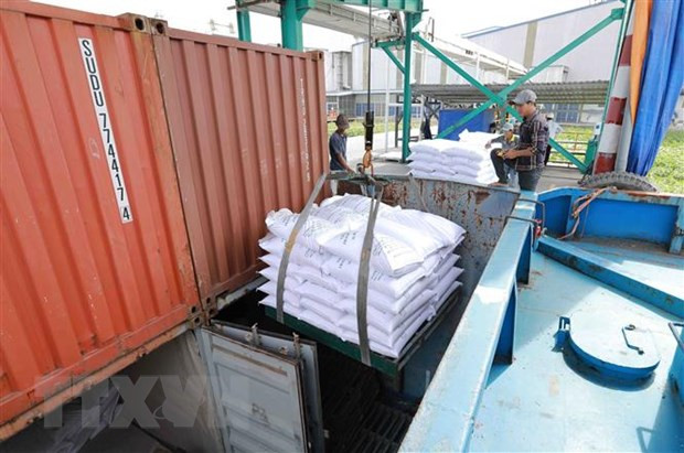 Xu hướng giá gạo và lưu ý với doanh nghiệp trước biến động thị trường ảnh 2