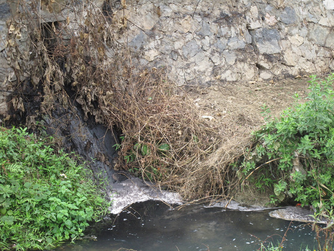 Tây Ninh: Hai doanh nghiệp bị phạt nặng vì gây ô nhiễm môi trường ảnh 1