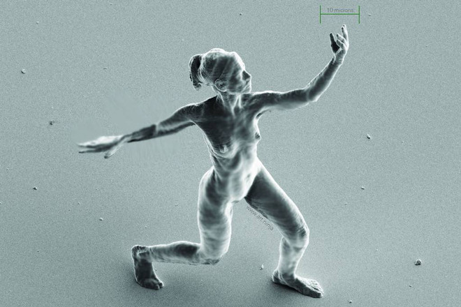 Tác phẩm điêu khắc siêu nhỏ có thể chui lọt lỗ kim... đã bị vỡ ảnh 2