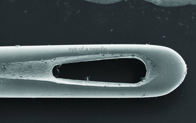 Tác phẩm điêu khắc siêu nhỏ có thể chui lọt lỗ kim... đã bị vỡ ảnh 1