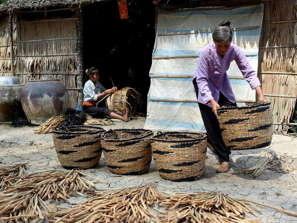 "Không thể tiếp cận đào tạo nghề cho nông dân như cho học sinh" ảnh 1