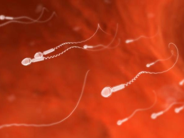 Bước đột phá mới giúp tạo ra tinh trùng từ tế bào da người ảnh 1