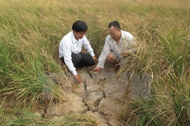 Sự kiện trong nước từ 7-13/3: Trình nhân sự ứng cử lãnh đạo Nhà nước ảnh 4