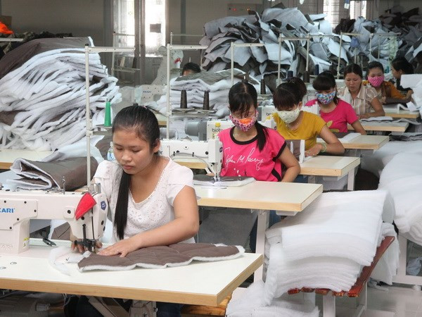 Ảnh minh họa. (Nguồn: TTXVN) Số doanh nghiệp thành lập mới đạt mức kỷ lục trong năm 2016 ảnh 1