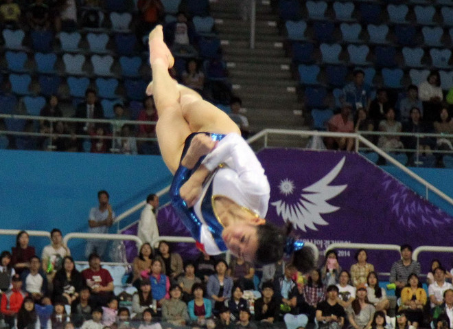 Thể thao Việt Nam giành 140 huy chương ở các giải quốc tế ảnh 1