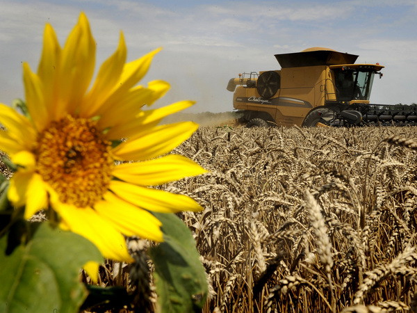 Nông nghiệp bền vững xứng đáng là trọng tâm ở Hội nghị COP22 ảnh 1