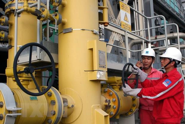 Petrolimex muốn đầu tư vào dự án khí thiên nhiên hóa lỏng ảnh 1