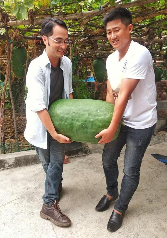 Làng trồng bí đao khổng lồ chuyển hướng làm du lịch cộng đồng ảnh 1