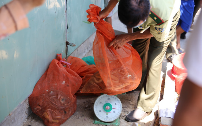 “Đặc khu buôn bán chim trời”: Long An báo cáo gì sau 1 tháng kiểm tra? ảnh 3