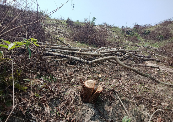 Bài 3: Hàng loạt quả đồi bị đào bới, tan hoang 'vàng trắng’ cao lanh ảnh 7