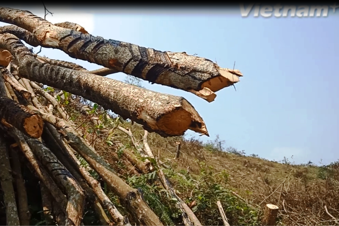 Bài 3: Hàng loạt quả đồi bị đào bới, tan hoang 'vàng trắng’ cao lanh ảnh 10