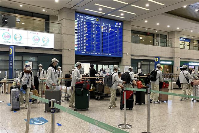 Lao động Việt Nam nhập cảnh tại sân bay Incheon (Hàn Quốc). (Ảnh: Anh Nguyên/TTXVN) Tiếp tục đưa lao động Việt Nam sang Hàn Quốc theo Chương trình EPS ảnh 1