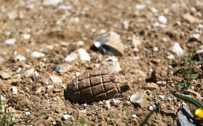 Ném quả lựu đạn cho chó trên bãi biển vì tưởng nhầm là đá ảnh 1